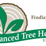 findlay logo